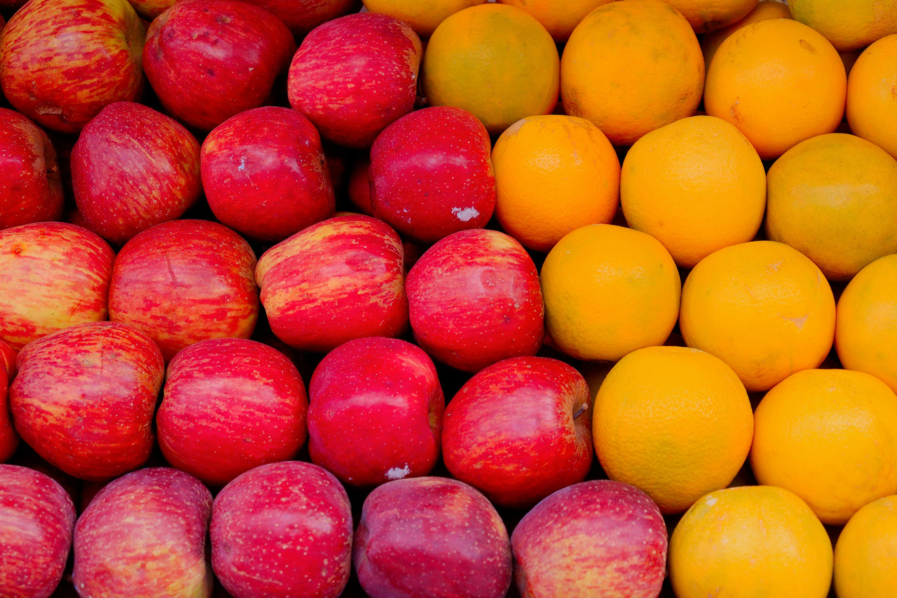Apples and oranges lined up